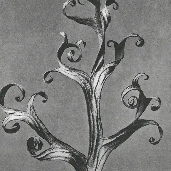 Graphic of delphinium flower, representing systemic thinking