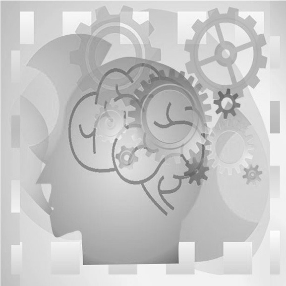 Human-centered systems representation